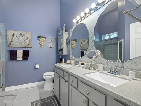 1660 Briarheath Drive Aurora IL 60505