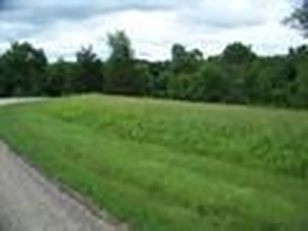 3 Honeycomb Court Galena IL 61036