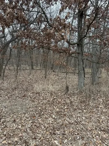 Lot 24 South Eagle Chase Drive Seneca IL 61360