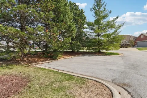 9215 Friar Way Frankfort IL 60423