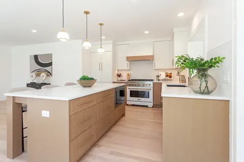 1503 Clinton Place River Forest IL 60305