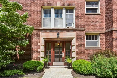 240 South Maple Avenue Oak Park IL 60302