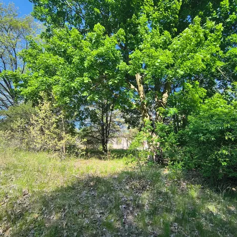 2240 South 15000 Road E Pembroke Twp IL 60958