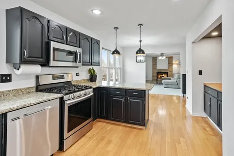 96 Alexandra Court Mundelein IL 60060
