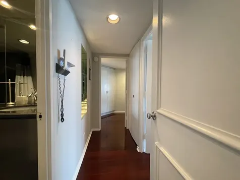 175 East Delaware Place Chicago IL 60611