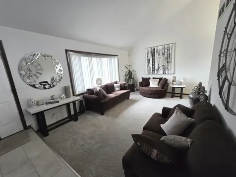 22709 Jamie Court Richton Park IL 60471