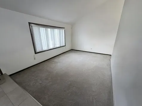 22709 Jamie Court Richton Park IL 60471