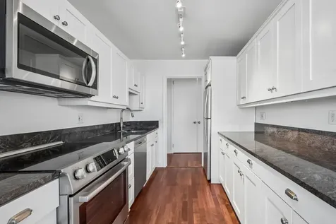 1560 North Sandburg Terrace Chicago IL 60610