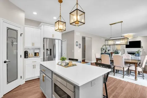 1403 Golden Rod Drive Mahomet IL 61853