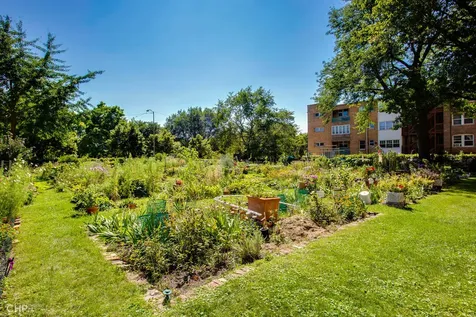 5838 South Stony Island Avenue Chicago IL 60637