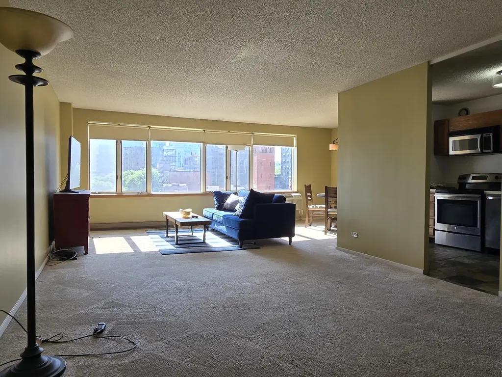 801 South Plymouth Court Chicago IL 60605