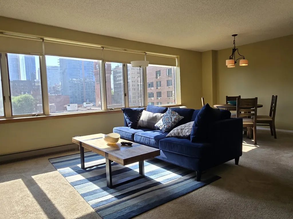 801 South Plymouth Court Chicago IL 60605