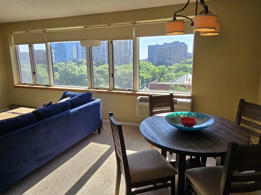 801 South Plymouth Court Chicago IL 60605