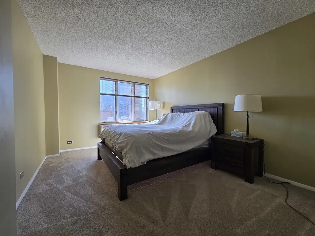 801 South Plymouth Court Chicago IL 60605