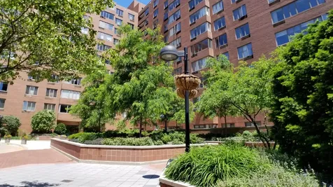 801 South Plymouth Court Chicago IL 60605