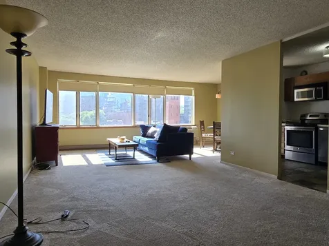 801 South Plymouth Court Chicago IL 60605