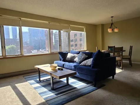 801 South Plymouth Court Chicago IL 60605