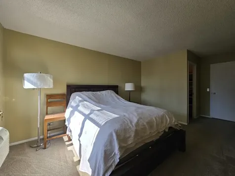 801 South Plymouth Court Chicago IL 60605