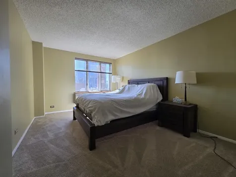801 South Plymouth Court Chicago IL 60605