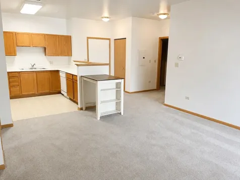 801 North Mclean Boulevard Elgin IL 60123