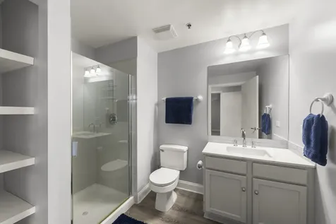 1305 South Michigan Avenue Chicago IL 60605