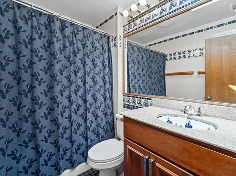 387 Elizabeth Drive Wood Dale IL 60191