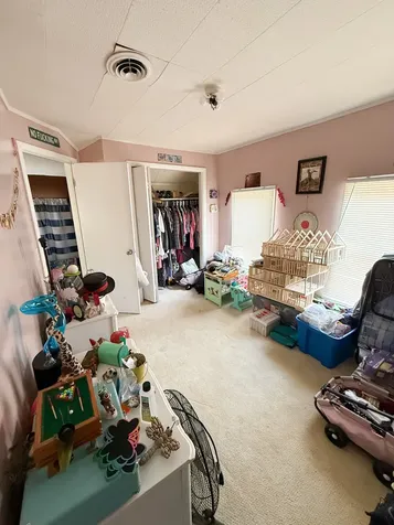 143 Diagonal Street Savanna IL 61074