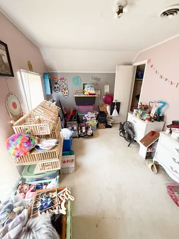 143 Diagonal Street Savanna IL 61074