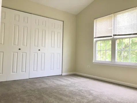 2903 Bartlett Court Naperville IL 60564