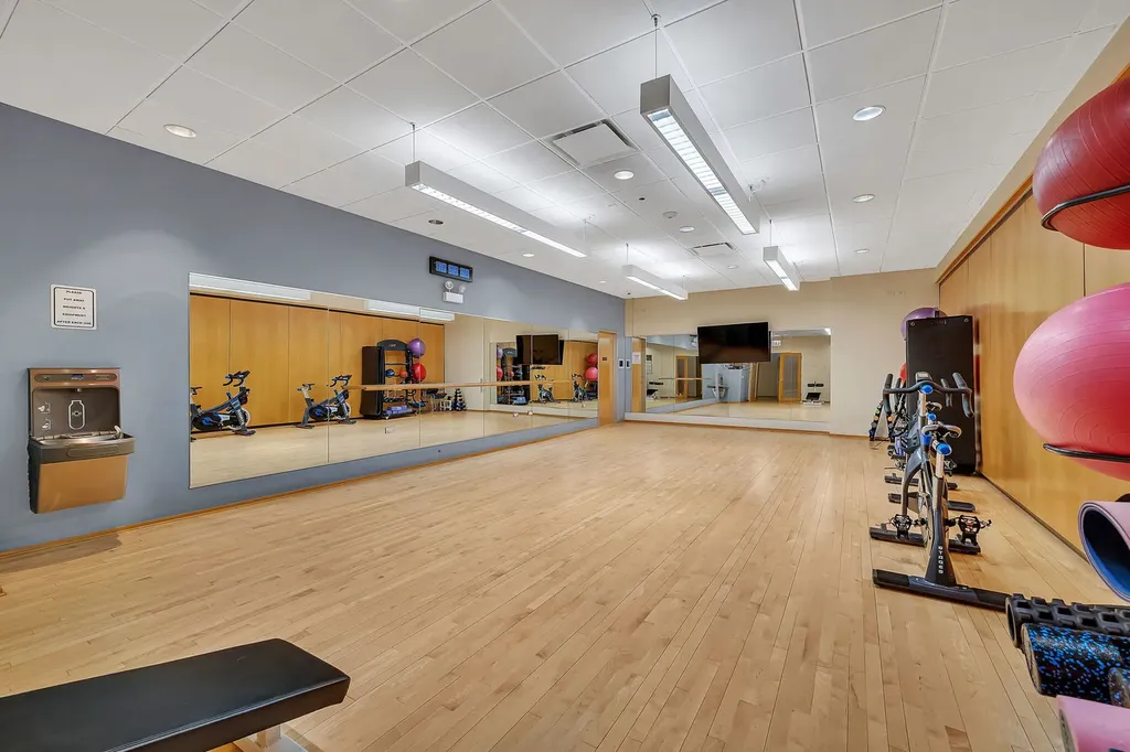 505 North Lake Shore Drive Chicago IL 60611