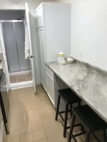 1121 South East Avenue Oak Park IL 60304