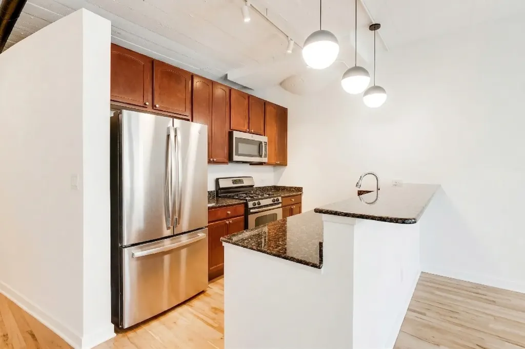 1069 West 14th Place Chicago IL 60608