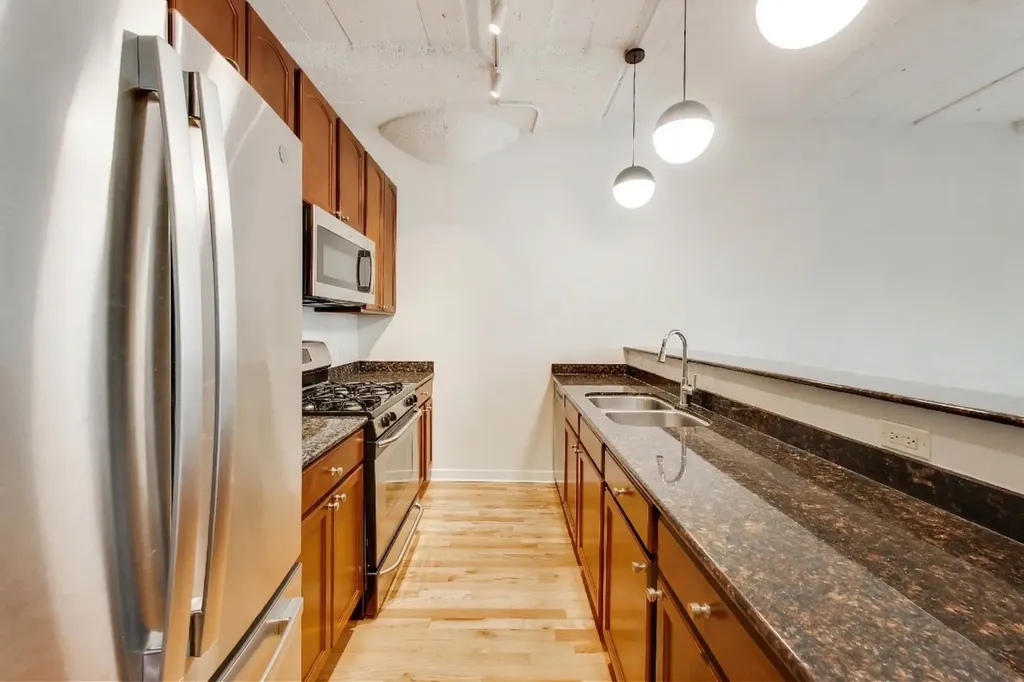1069 West 14th Place Chicago IL 60608