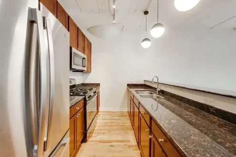 1069 West 14th Place Chicago IL 60608