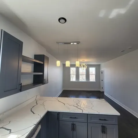 7919 South Ellis Avenue Chicago IL 60619