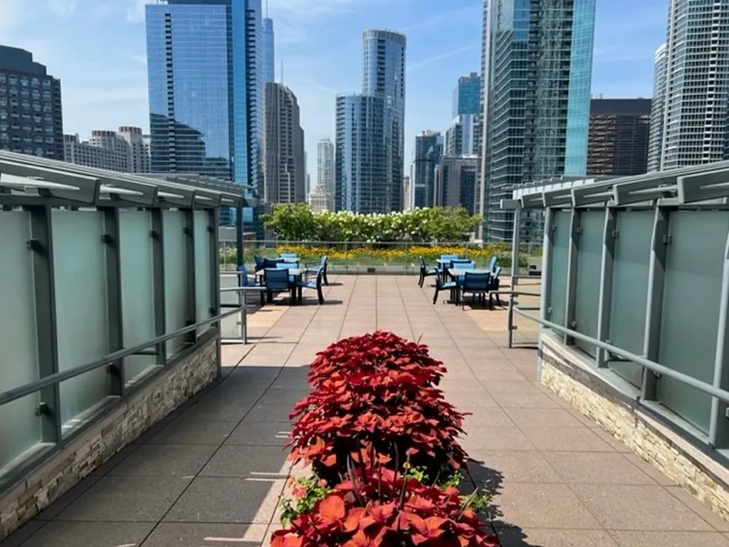 474 North Lake Shore Drive Chicago IL 60611