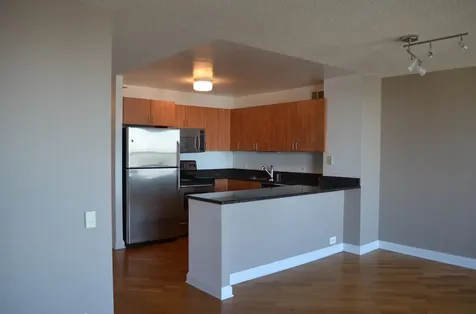 474 North Lake Shore Drive Chicago IL 60611