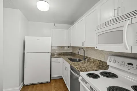 474 North Lake Shore Drive Chicago IL 60611