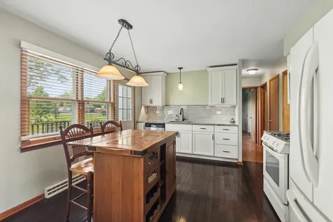 1259 Heather Road Homewood IL 60430