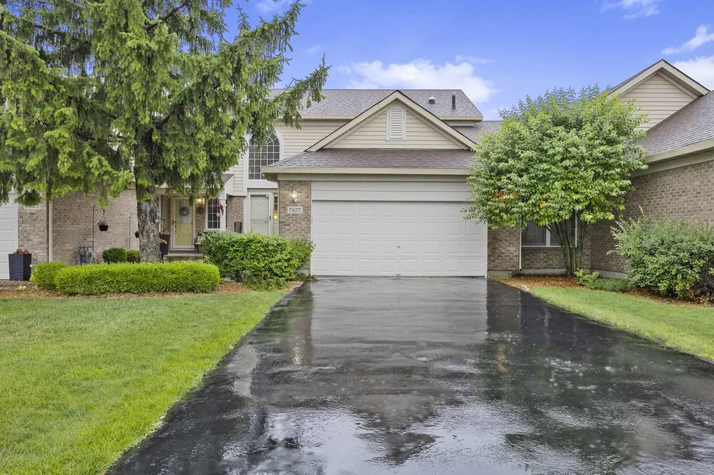 7827 Belle Rive Court Tinley Park IL 60477