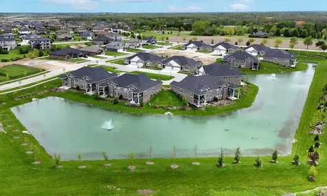 15909 Prairie View Court New Lenox IL 60451