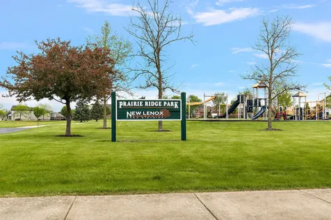 15909 Prairie View Court New Lenox IL 60451