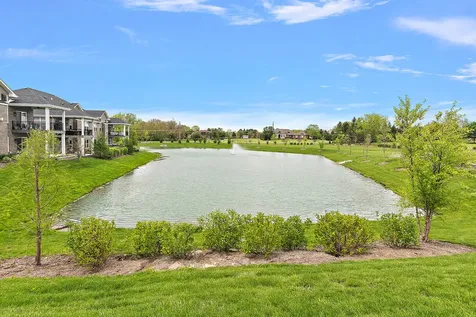 15909 Prairie View Court New Lenox IL 60451
