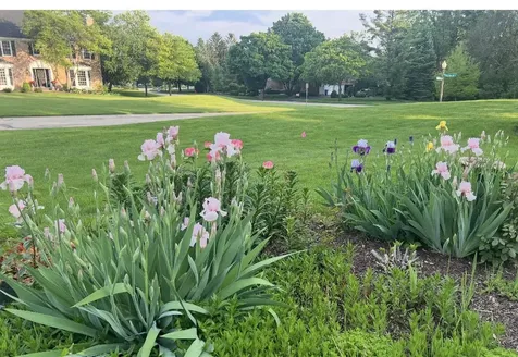 980 Persimmon Court St. Charles IL 60174
