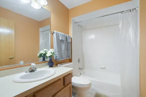 6963 Margaret Courtyard Court Tinley Park IL 60477