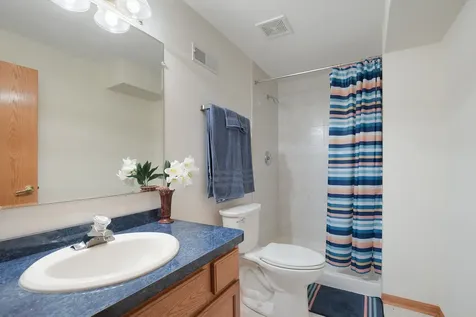 6963 Margaret Courtyard Court Tinley Park IL 60477