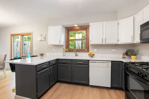 591 Roosevelt Court Grayslake IL 60030