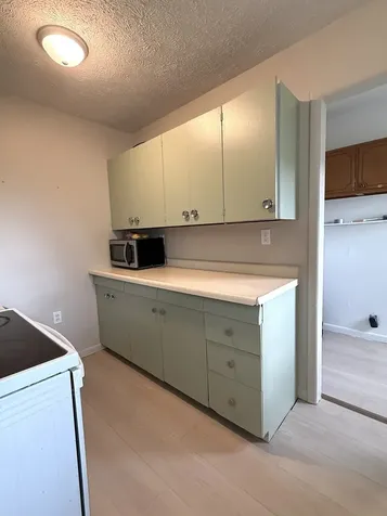 1305 Harper Drive Rantoul IL 61866