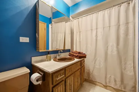 19W471 Deerpath Lane Lemont IL 60439