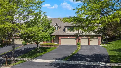 3209 Lightning Court New Lenox IL 60451